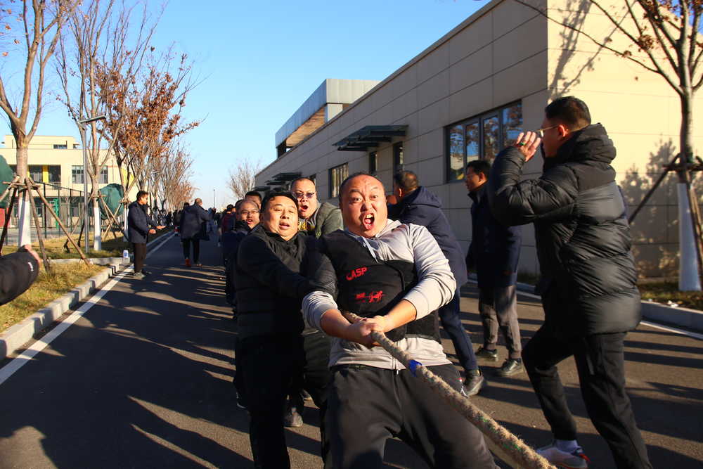 质料.JPG