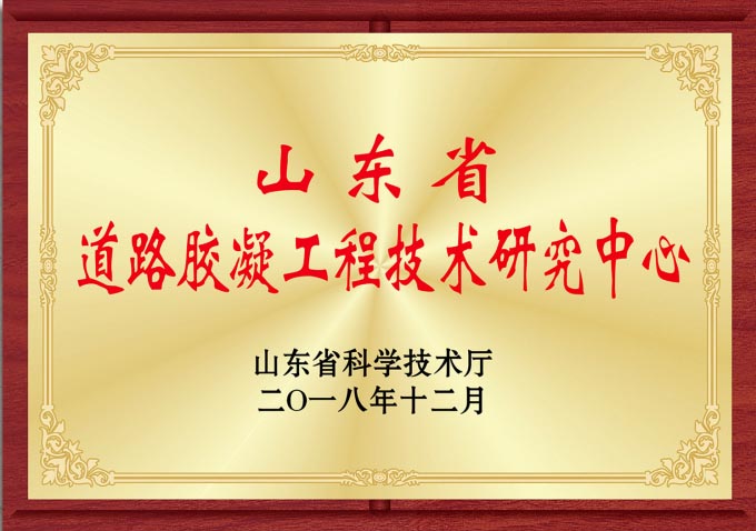 山东省蹊径胶凝质料工程手艺研究中心