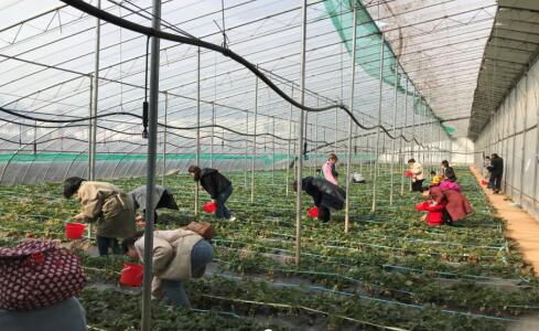 中国·437ccm必赢国际(股份)有限公司-官方网站